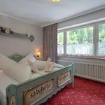 Amadeus Zillertal Tirol Майрхофен