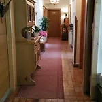 Amadeus Zillertal Tirol Отель
