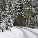 Отель Amadeus Zillertal Tirol