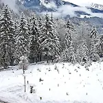 Amadeus Zillertal Tirol Отель Майрхофен