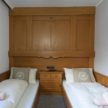 Amadeus Zillertal Tirol Otel