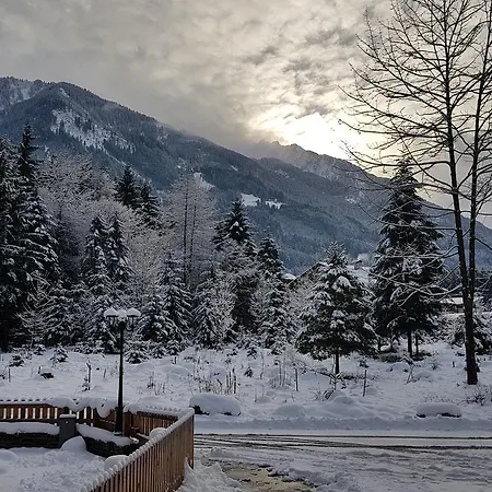 Amadeus Zillertal Tirol Otel Mayrhofen