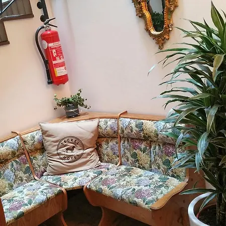 Otel Amadeus Zillertal Tirol