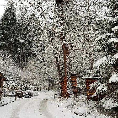 Amadeus Zillertal Tirol Mayrhofen