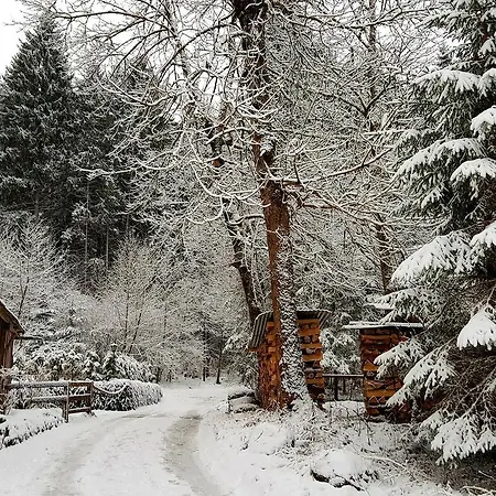 Amadeus Zillertal Tirol Mayrhofen