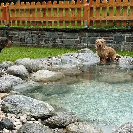Ξενοδοχείο Amadeus Zillertal Tirol Mayrhofen