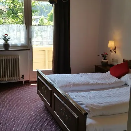 Amadeus Zillertal Tirol *