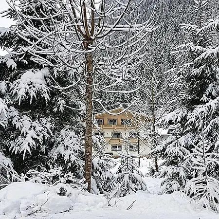 Amadeus Zillertal Tirol * מאיירהופן