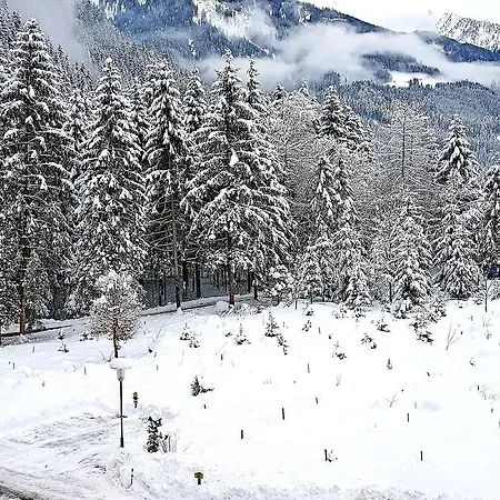 Amadeus Zillertal Tirol Otel Mayrhofen