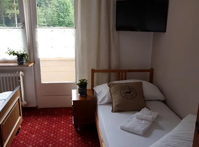 Amadeus Zillertal Tirol 호텔