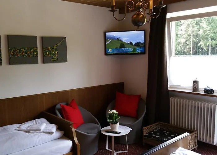 Amadeus Zillertal Tirol 메이른호픈