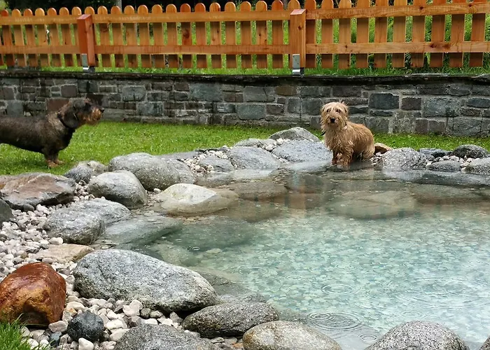 호텔 Amadeus Zillertal Tirol 메이른호픈
