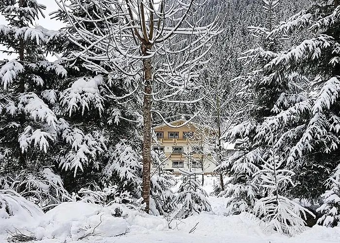 Amadeus Zillertal Tirol * 메이른호픈