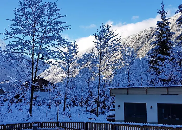 Amadeus Zillertal Tirol 호텔 *