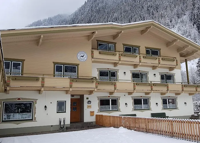Amadeus Zillertal Tirol * 메이른호픈
