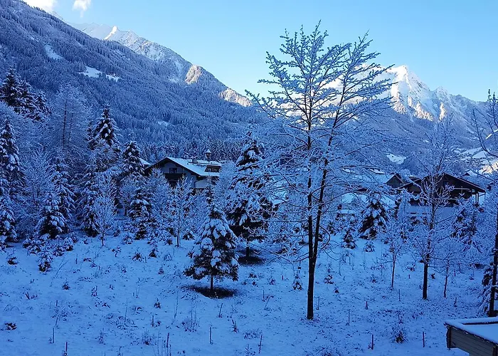 Amadeus Zillertal Tirol * 메이른호픈