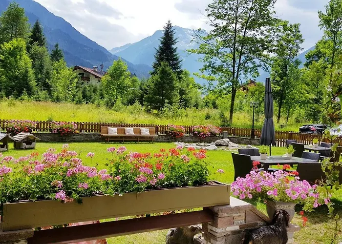 Amadeus Zillertal Tirol 호텔 메이른호픈